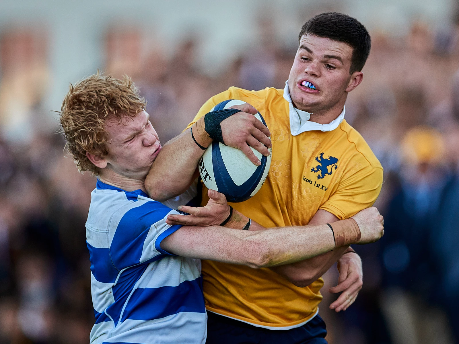 PWP - Scots 1st XV Rugby vs St Ignatius' College Riverview, 20230722 0128