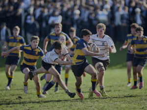 Photo #81295 250816 Scots College 2nd Rugby XV vs Newington College