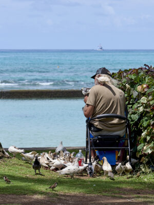 Photo #86062 250403 PWP - Trip to Hawaii - Honolulu & Kona