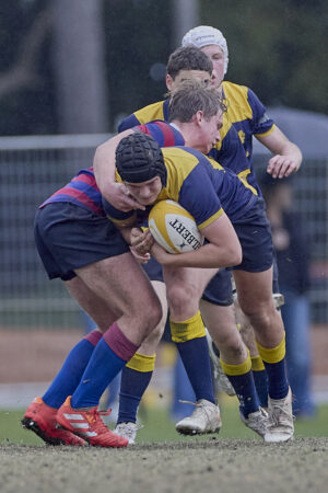 Photo #93509 260815 Scots College 16A Rugby XV vs St Joseph's College